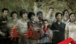 养女 电视剧,命运交织的亲情救赎